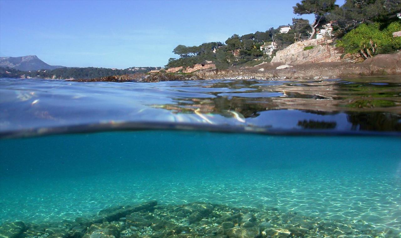 Magnifique Petit Cocon Bord De Mer Le Pradet Dış mekan fotoğraf