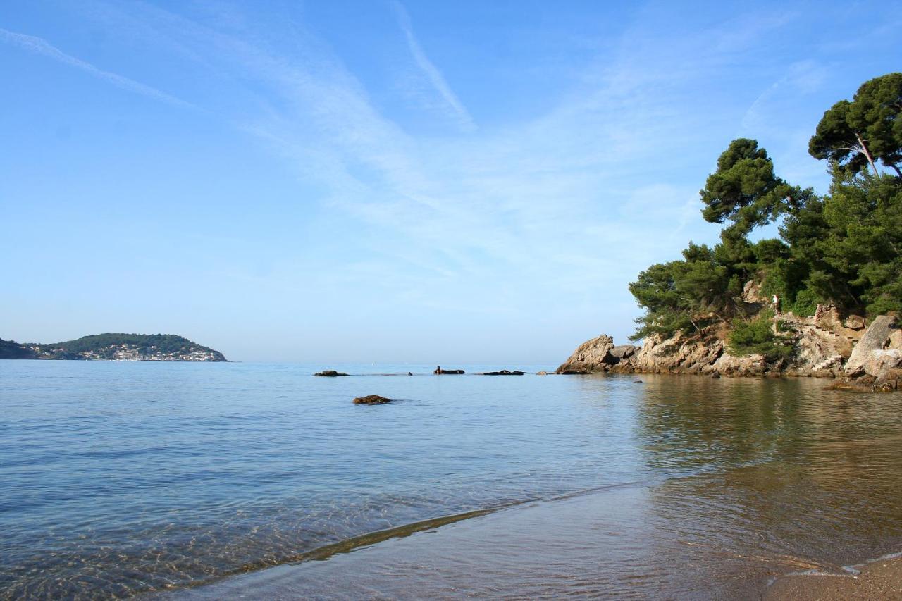 Magnifique Petit Cocon Bord De Mer Le Pradet Dış mekan fotoğraf